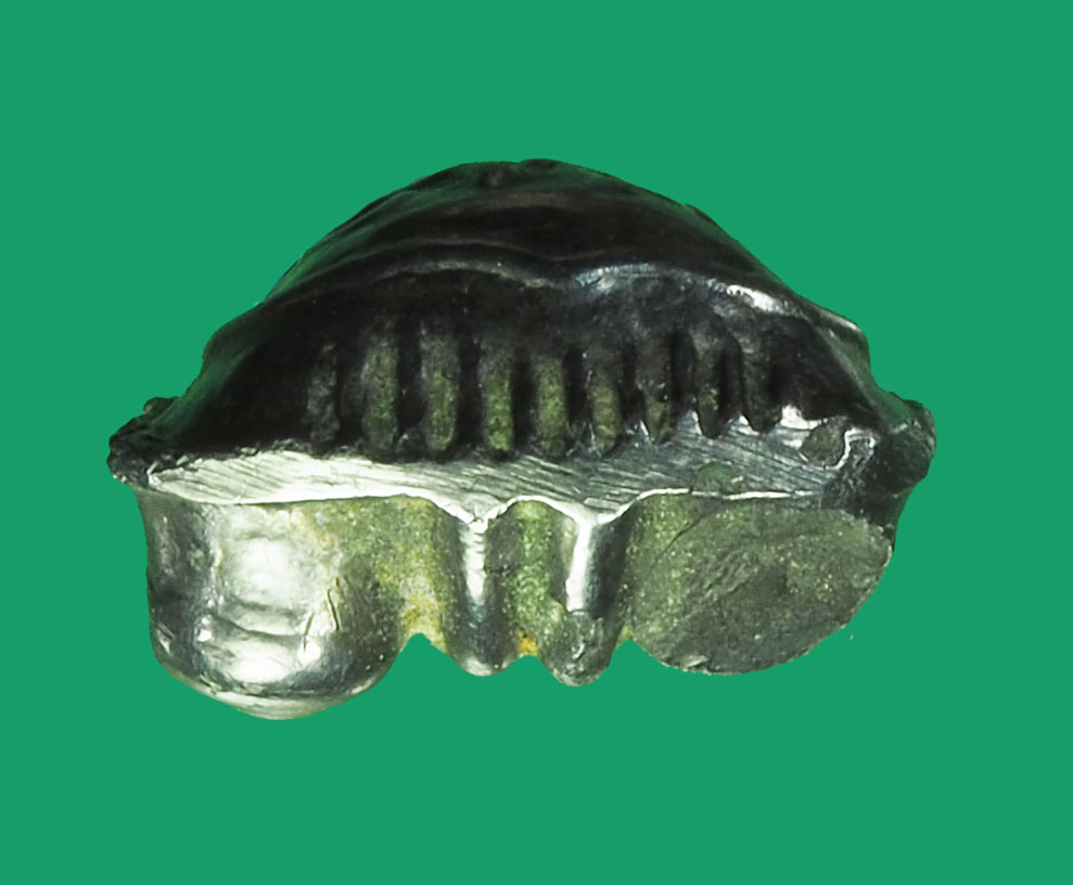 ขายแล้ว*33490 พระปิดตาหลังยันต์ หลวงปู่บุญ วัดกลางบางแก้ว เนื้อเมฆพัทร (มีรอยบิ่นที่บริเวณหัวเข่าด้านซ้าย) 6