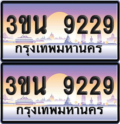 ทะเบียน 9229 ป้ายประมูล - 3ขน 9229 พร้อมส่งมอบ จากกรมขนส่ง (เลขสวย)