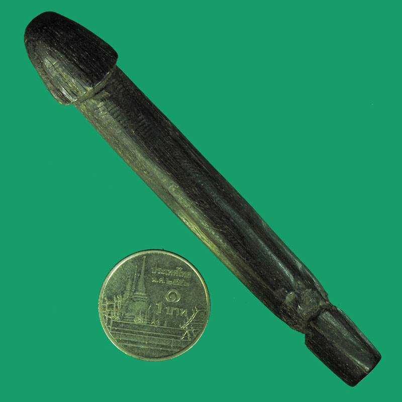 *33051 ปลัดขลิกไม้แกะเก่า ไม่ทราบที่ 12