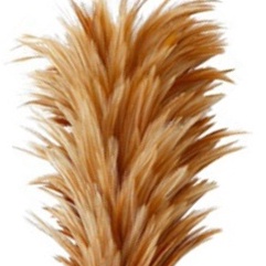 ไม้ขนไก่ด้ามPVC เล็ก ตราไก่ ขนาด 55ซม. (ราคารวมแวท) ไม้ขนไก่ ไม้ขนไก่ปัดฝุ่น ไม้ปัดขนไก่ ไม้ปัดฝุ่น {2302135901}