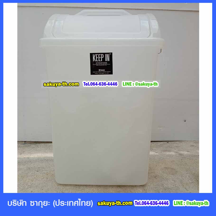 ถังขยะ,ถังขยะเทศบาล,ถังขยะแยกประเภท,ถังขยะพลาสติกใส,ถังขยะทรงเหลี่ยม,แท่นวางถังขยะ,ถังขยะเล็ก,ถังขยะเท้าเหยียบ,ถังขยะ 4 สี