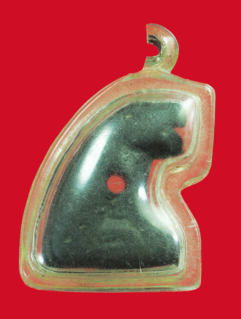 *32942 เสือกัลปังหา แกะเลี่ยมพลาสติกเก่า ไม่ทราบที่ 12