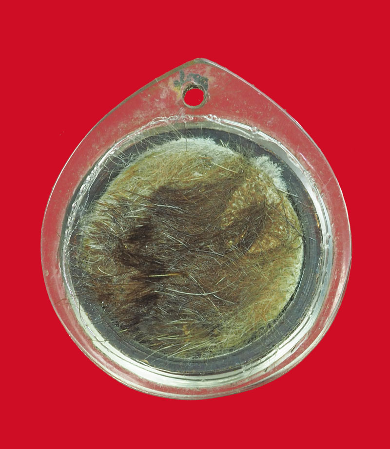 *32523 เหรียญตลับยาหม่องหนังเสือ หลวงพ่อพุฒ วัดกลางบางพระ นครปฐม เลี่ยมพลาสติกเก่า 36