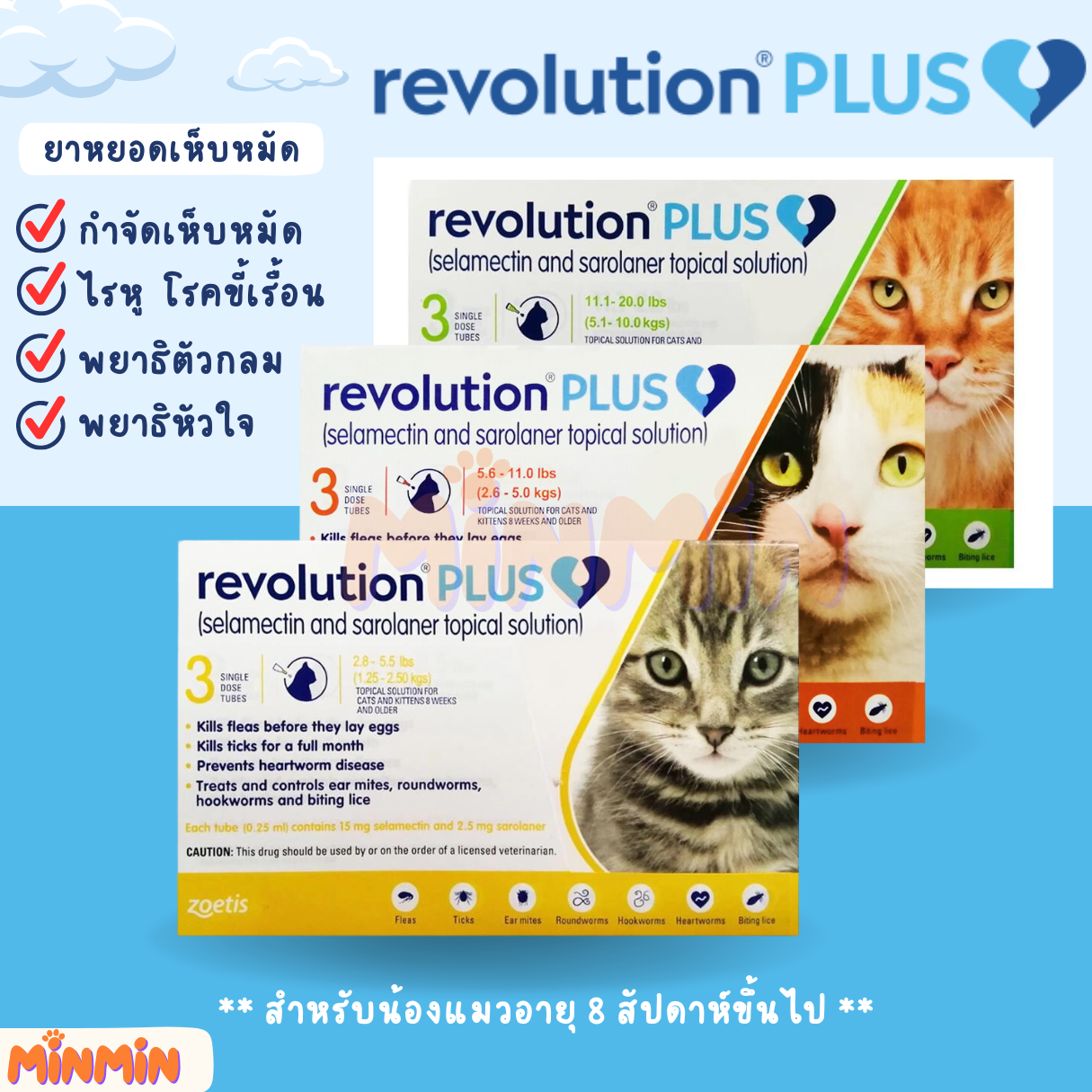 revolution แบบหยอดหลัง สำหรับน้องแมว