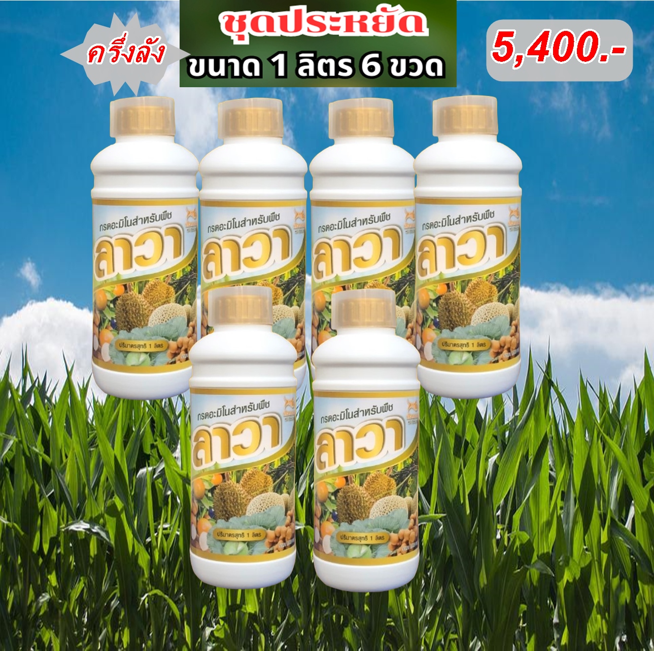 ปุ๋ยน้ำลาวา-Lawa (ชุดครึ่งลัง 6 ขวด) บรรจุขวดละ 1 ลิตร ชุดประหยัดสุดคุ้ม ช่วยบำรุง ราก ใบ ดอก ผล ช่วยเร่งการเจริญเติบโตทุกส่วนของพืชได้ดี