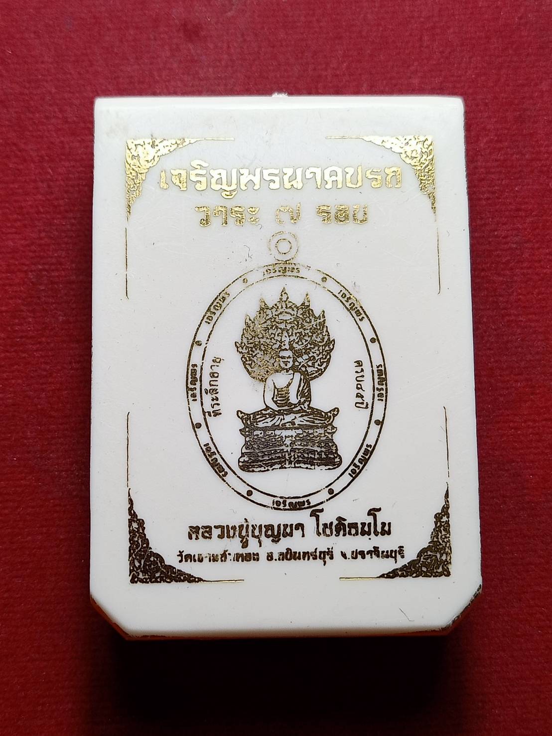 เหรียญหลวงปู่บุญมา รุ่นเจริญพรนาคปรก วัดเขาแก้วทอง จ.ปราจีนบุรี ปี 2567 พร้อมกล่อง (SKU-09328)