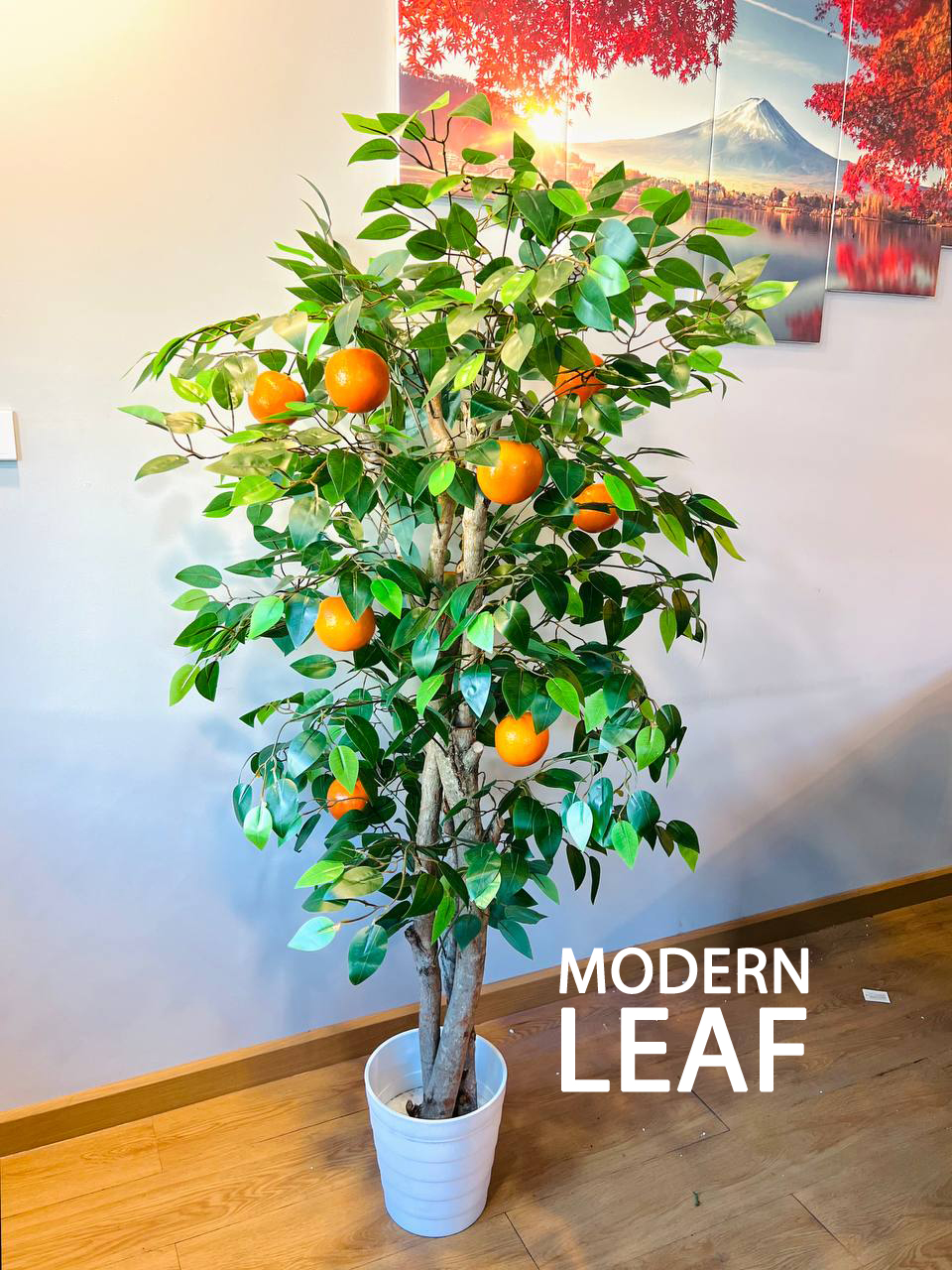 ต้นส้มมงคลเศรษฐีปลอม ขนาดความสูง 1.5 เมตร