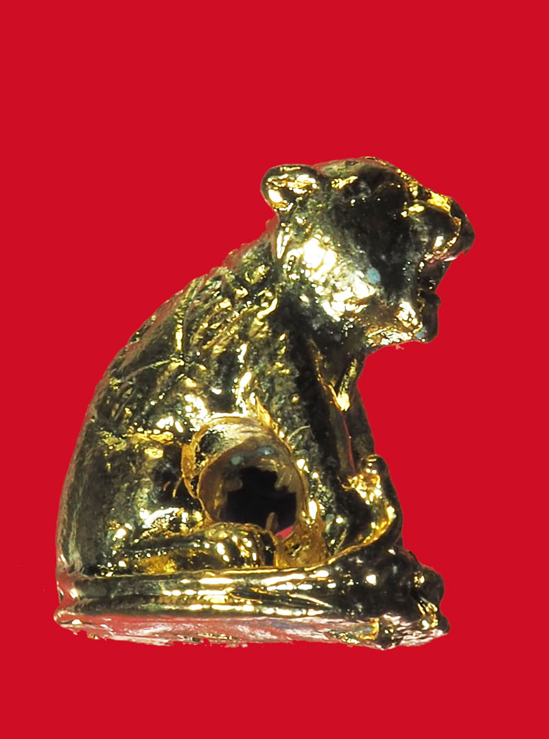 *32085 เสือตะกั่ว ชุบทอง ไม่ทราบที่และปีสร้าง 12