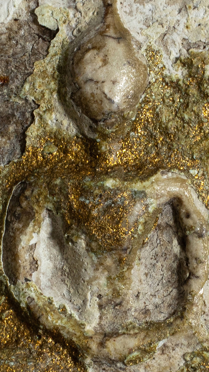 พระสมเด็จผงตะไคร่ใบเสมา ปิดทอง