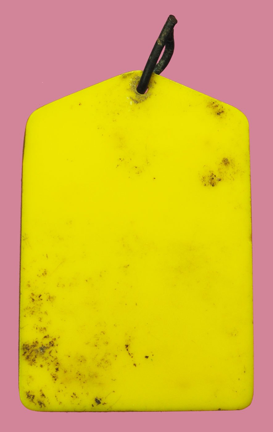 ขายแล้ว*37819 พระสมเด็จปรกโพธิ์ วัดประสาทบุญญาวาส ปี 2506 เนื้อเทา เลี่ยมพลาสติกเก่าถึงยุค 9