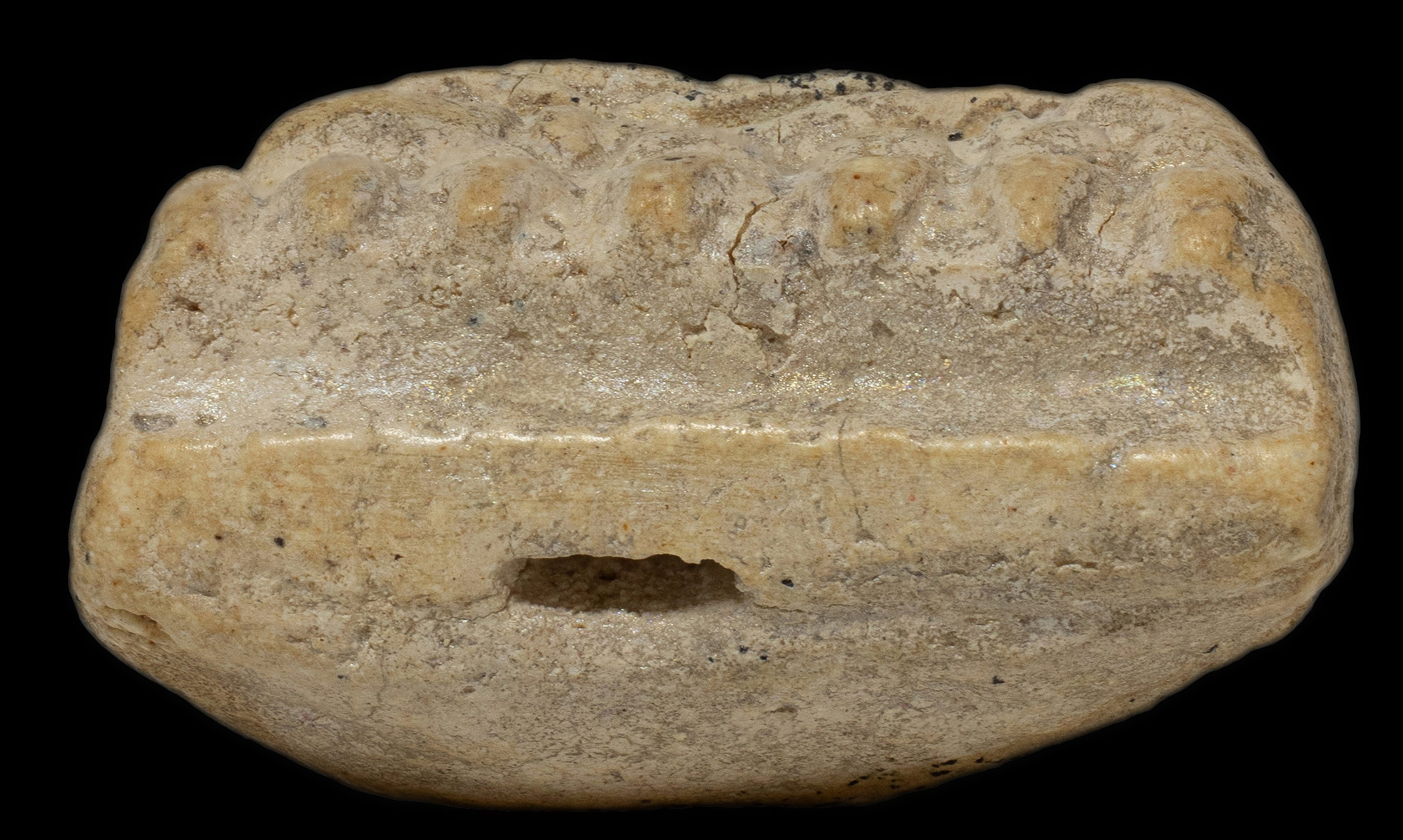 พระหลวงปู่ทวดวัดประสาทบุญญาวาส พิมพ์ใหญ่ ปลายแหลม เนื้อขาว ปี 2506