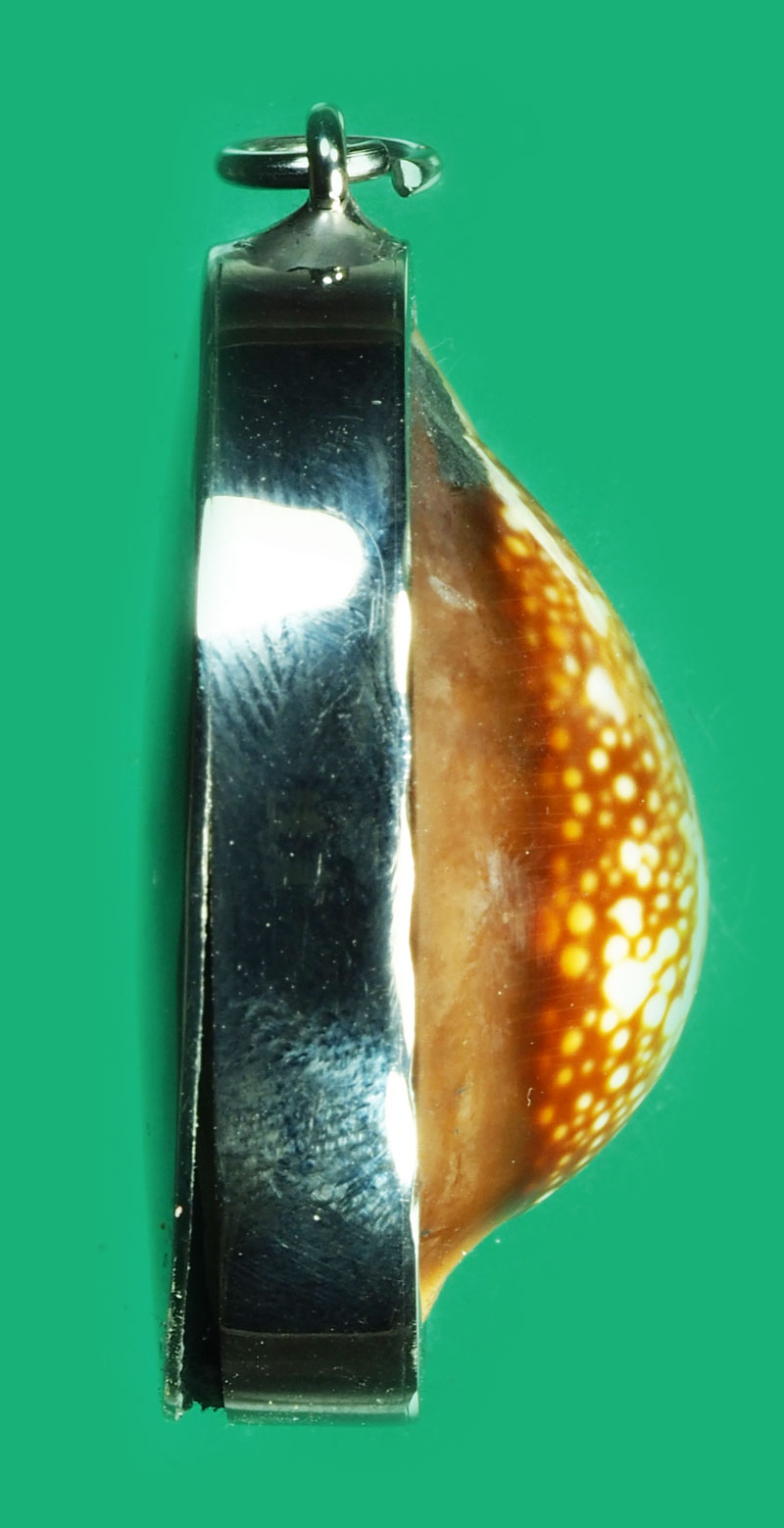 *35375 เบี้ยแก้เลี่ยมตลับสแตนเลส ไม่ทราบที่และปีสร้าง 12