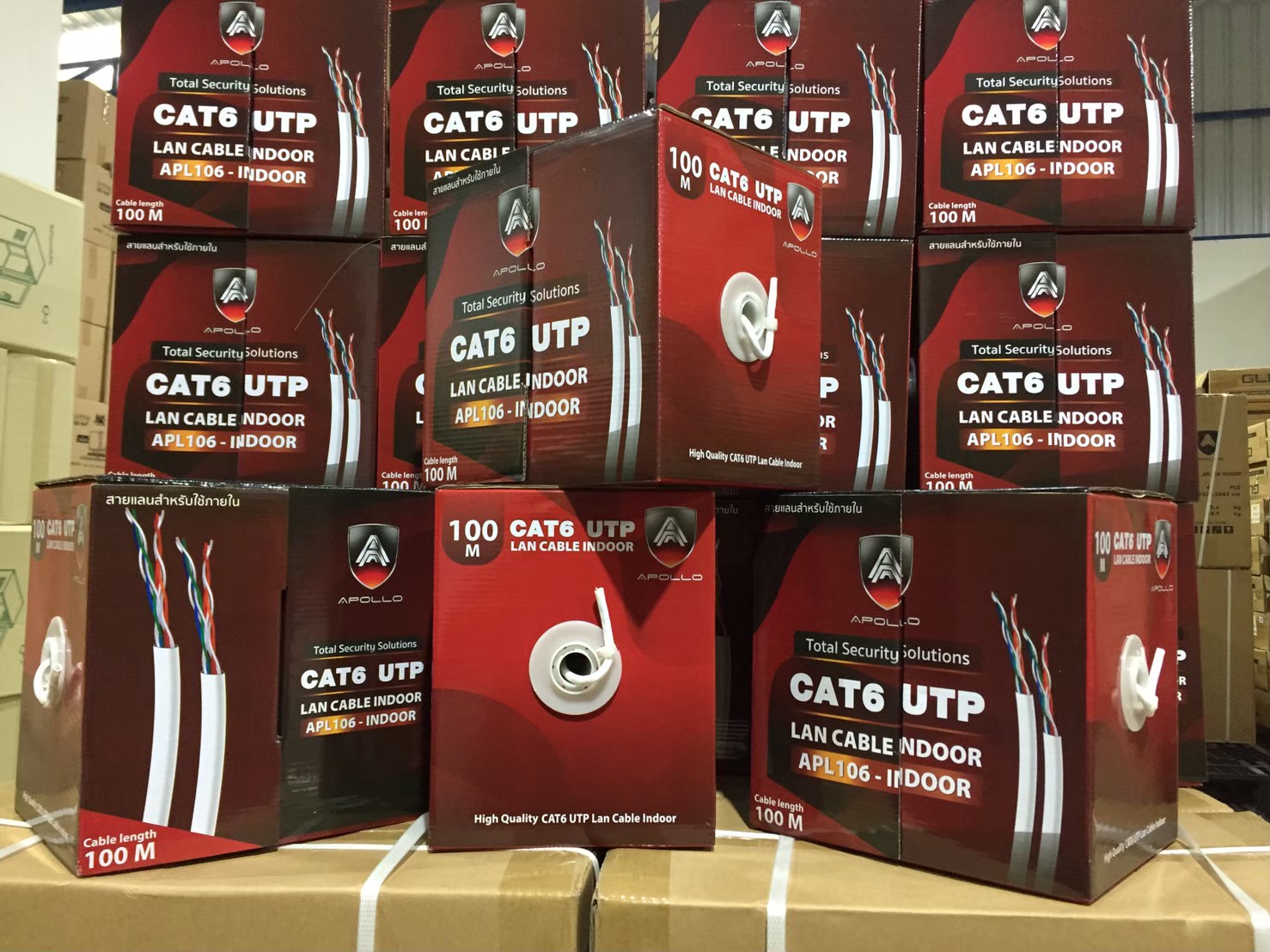Apollo สายLAN CAT6 UTP รุ่น APL106-INDOOR 100M.
