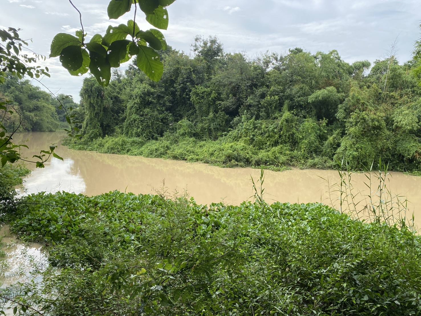 ขายที่ดินติดคลอง ราชสาส์น 3 ไร่ 1 งาน 40 ตรว. | เจ้าของขายเอง | ทำบ้านสวน ที่ดินฉะเชิงเทรา