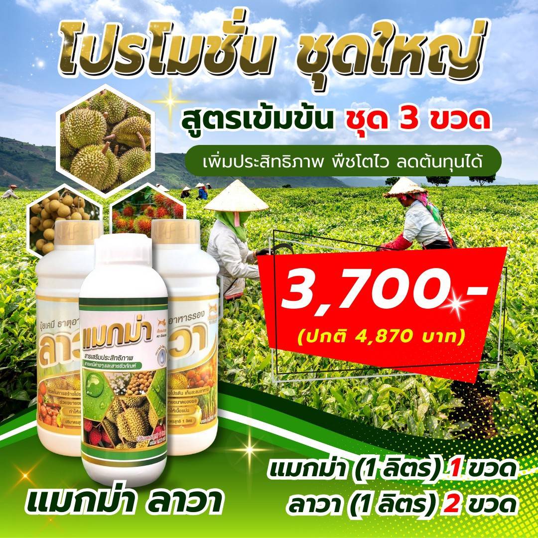 ชุดใหญ่ 3ขวดขนาด1ลิตร (แมกม่า1 ลาวา2)