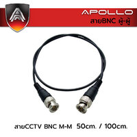 สายCCTV BNC ผู้-ผู้ ยาว 50cm./100cm.