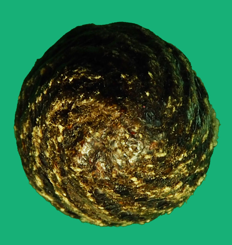 *36161 เครื่องรางลงรักถักเชือก ไม่ทราบที่และปีสร้างดูเก่า เล่นแค่ชอบ 12