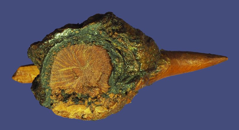 *40475 ไม้กาฝากรัก เก่าพอมีอายุ ไม่ทราบที่และปีสร้าง 12