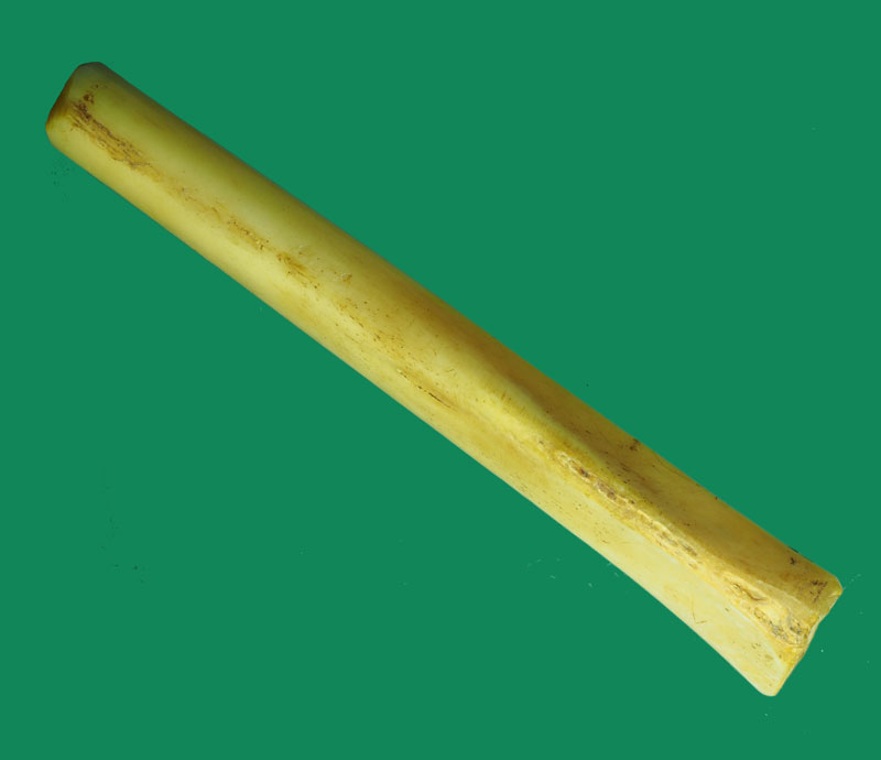 *31830 ตะกรุดกระดูกแร้งเก่า มีจารทั้งเก่าทั้งอัน ไม่ทราบที่ 13