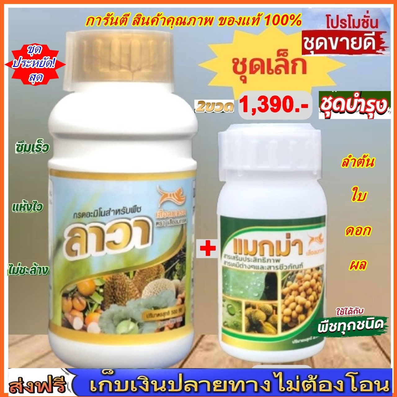 ปุ๋ยลาวา&แมกม่า (ชุดเล็ก 2 ขวด) ลาวาเร่งการเจริญเติบโตทุกส่วนของพืช และ แมกม่า สารเสริมประสิทธิภาพดูดซึมได้อย่างรวดเร็ว ไม่ทิ้งคราบ ใช้ได้กับพืชทุกชนิด