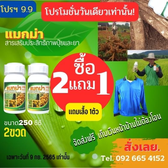สารเสริมประสิทธิภาพ ขนาก250 cc 2ขวด