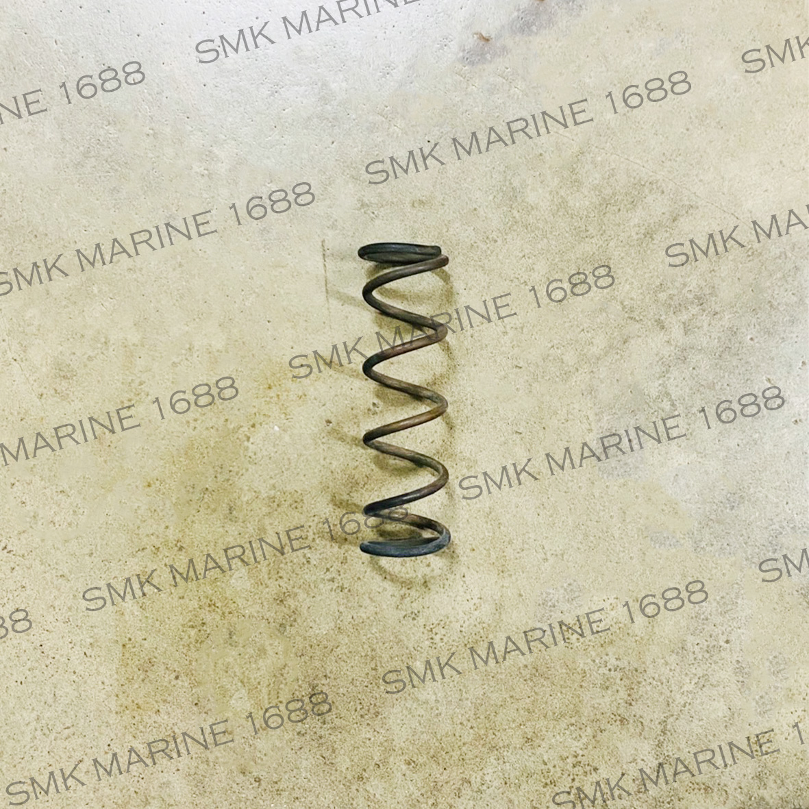 Spring Sand Filter Tank / สปริงถังกรองทราย In/Out 2"