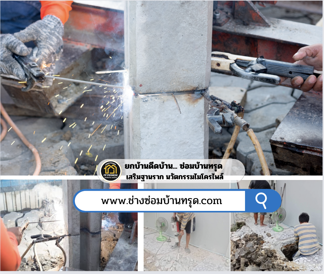 บริการโพรงใต้บ้าน บริการโพรงใต้บ้าน