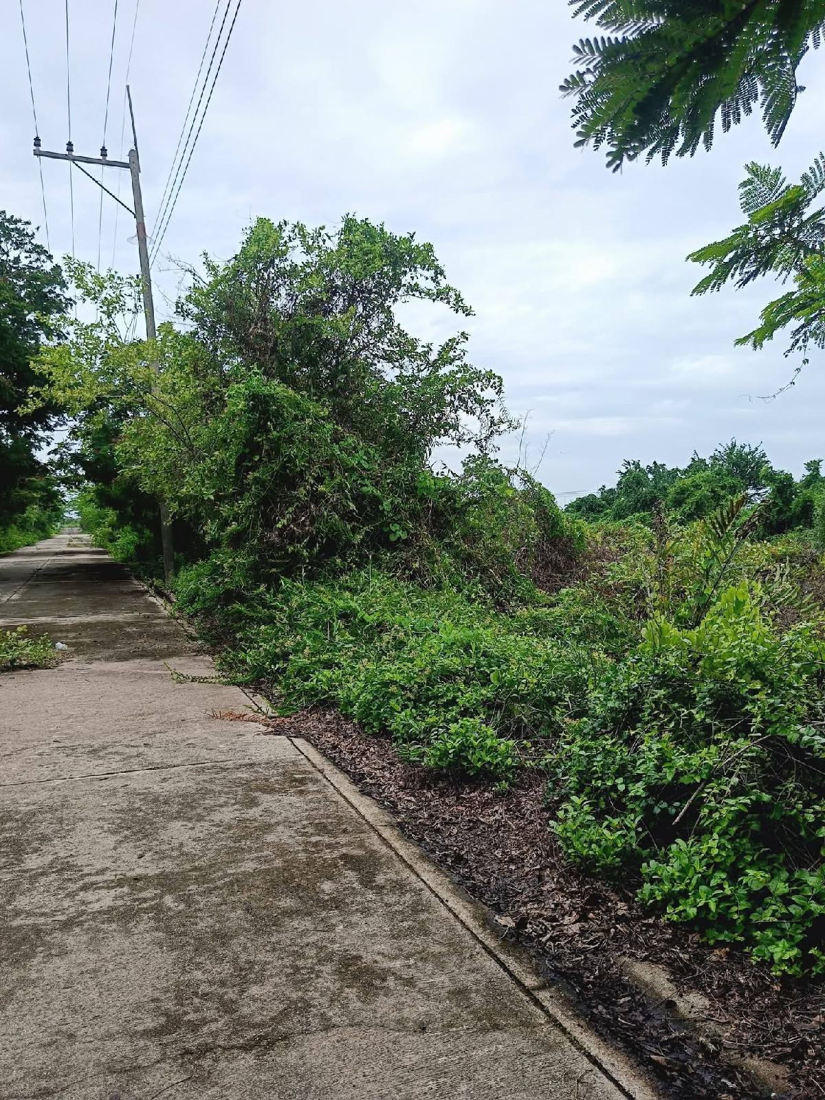 ขายที่ดิน บางปะกง 60 ตรว | ขายที่ดินฉะเชิงเทรา