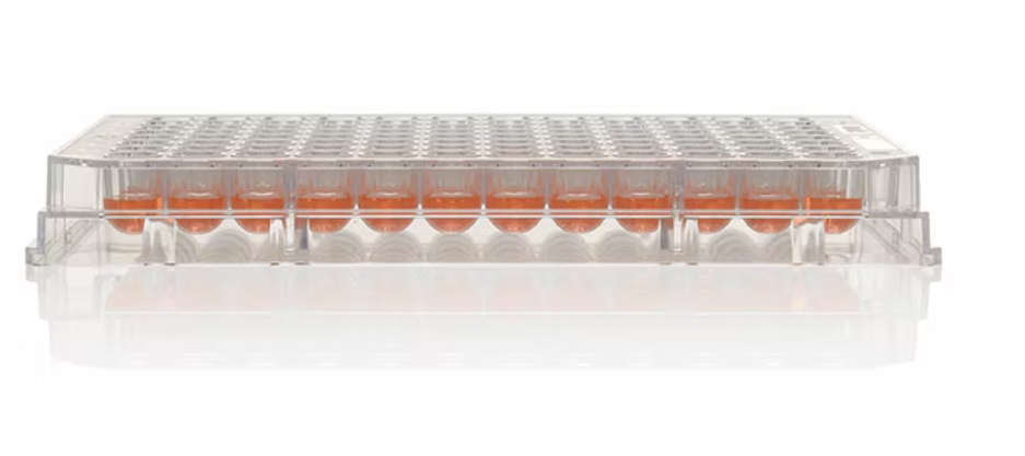 269620 96F-well,Non-treated,60/cs