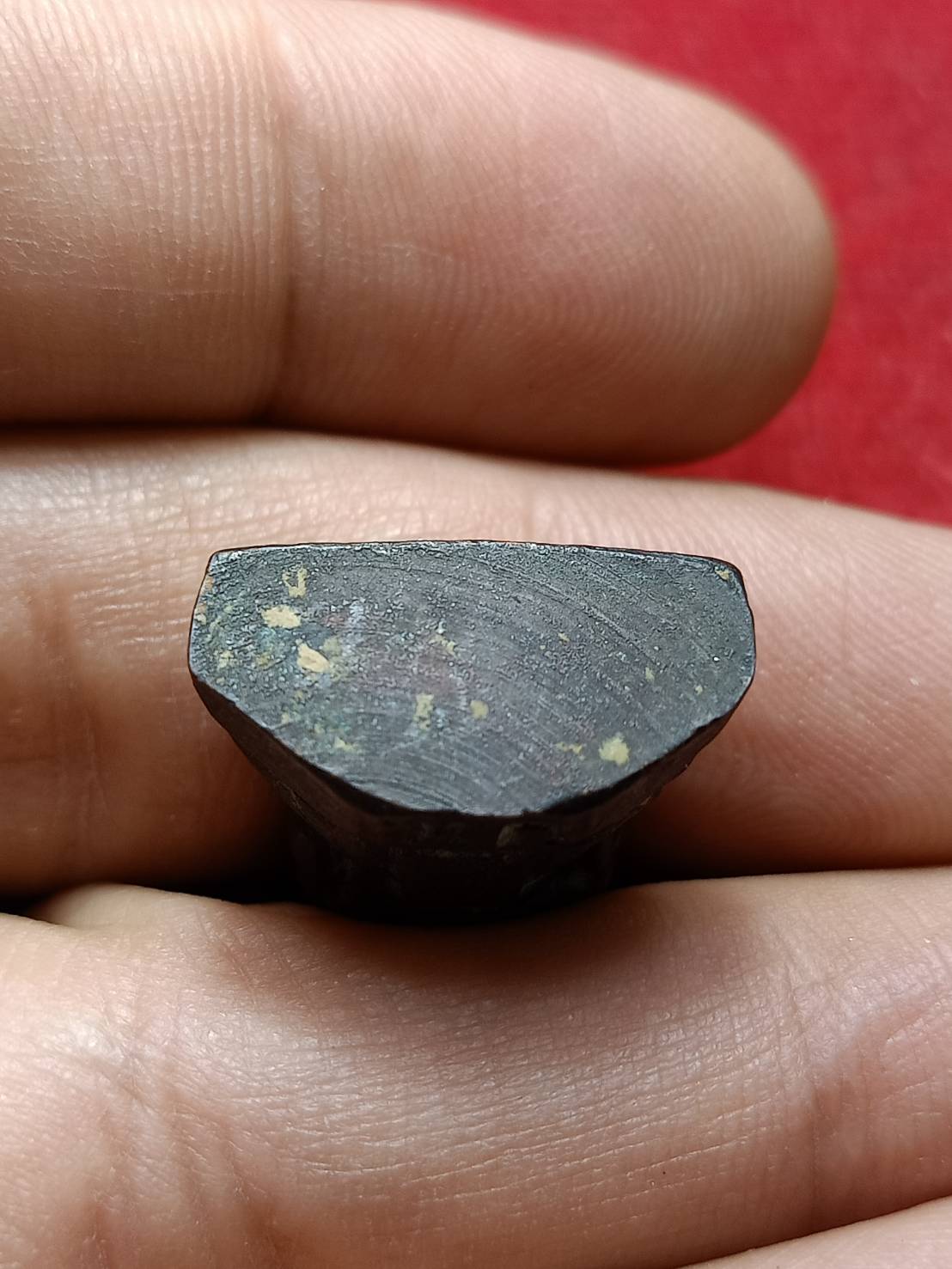 รูปหล่อพระครูพิศาลสมณวัตต (หลวงปู่ม้วน) วัดบางพลีใหญ่ใน จ.สมุทรปราการ (SKU-08789)