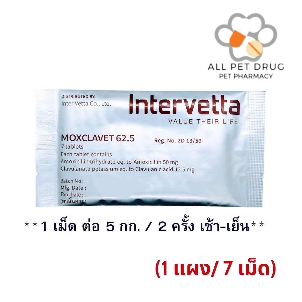 Moxclavet 62.5 mg (1 แผง /7 เม็ด)ฆ่าเชื้อสำหรับสุนัขและแมว