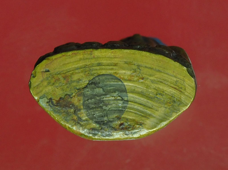 *30318 พระกริ่งไม่ทราบที่ โรงงานเดียวและบล็อกเดียวกับ กับพระกริ่ง แหลมฟ้าผ่า รุ่น 2 ปี 2494 สมุทรปราการ เนื้อทองผสม 7