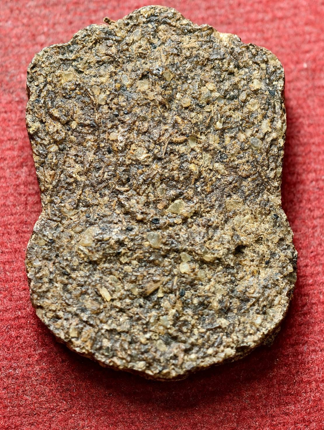 พระผงหลวงพ่อนก วัดเขาบังเหย จ.ชัยภมูิ (SKU-13444)