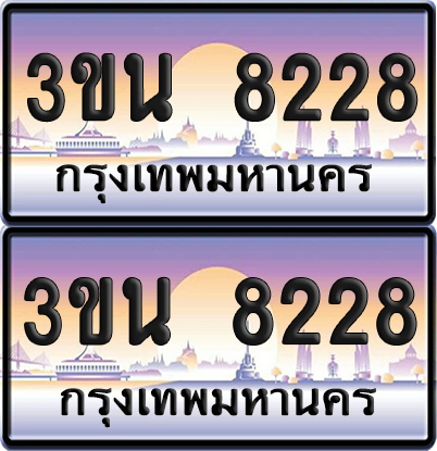 ทะเบียน PAITABIEN 8228 – เลขประมูล 3ขน 8228 (1)