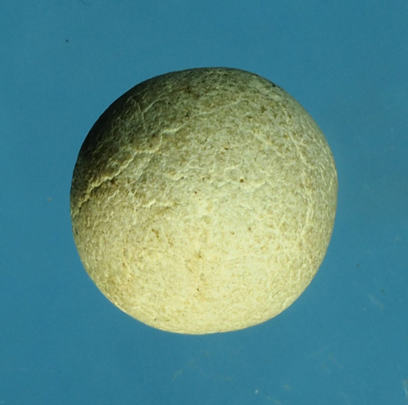 *30248 ลูกอมเนื้อผงพุทธคุณ หลวงพ่อจรัญ ชุดวัดพรหมบุรี 2496 สิงห์บุรี 82