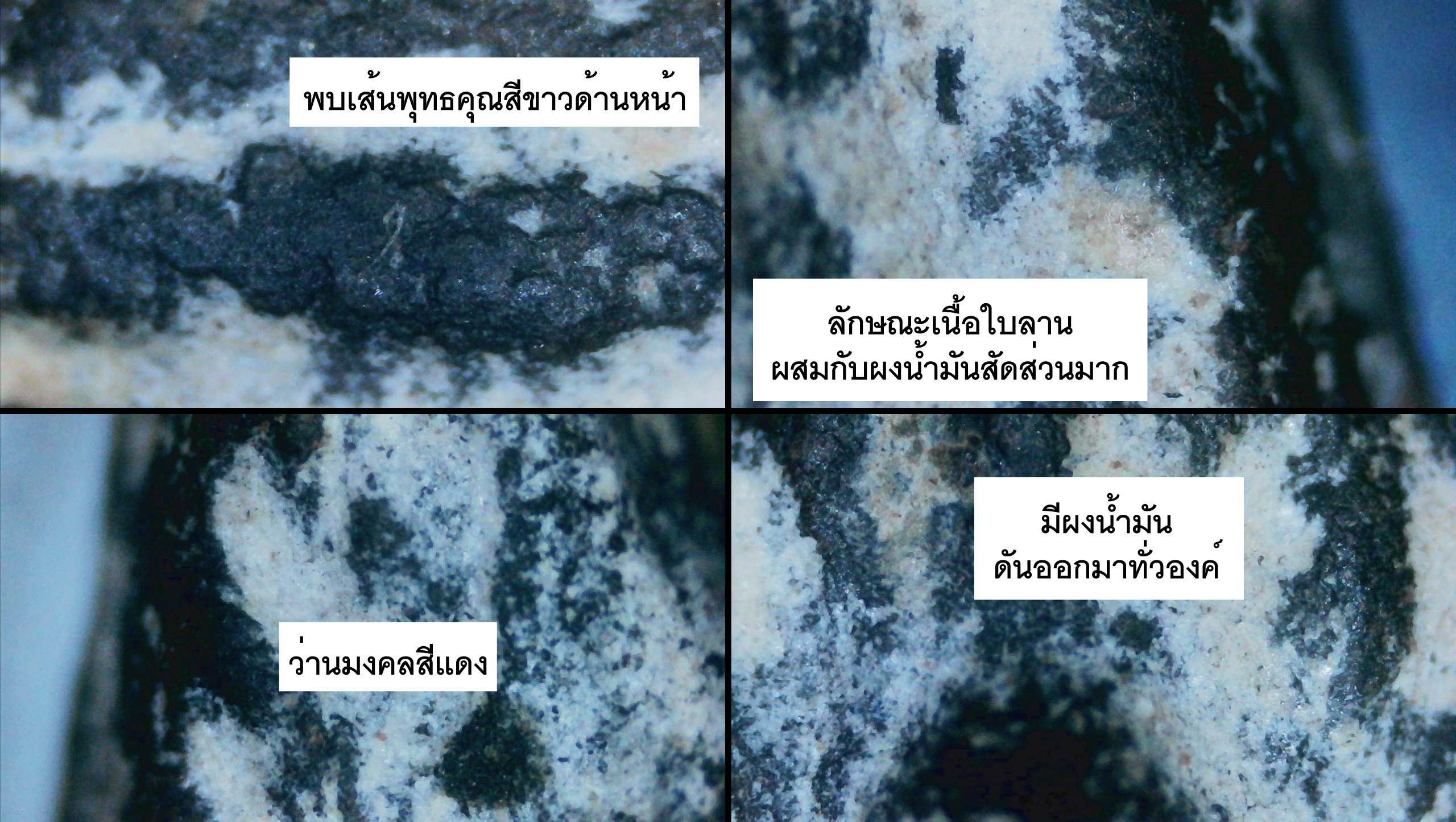 พระรอดหลวงพ่อกวย เนื้อใบลานผสมผงน้ำมัน หลวงพ่อกวย วัดโฆสิตาราม ชัยนาท