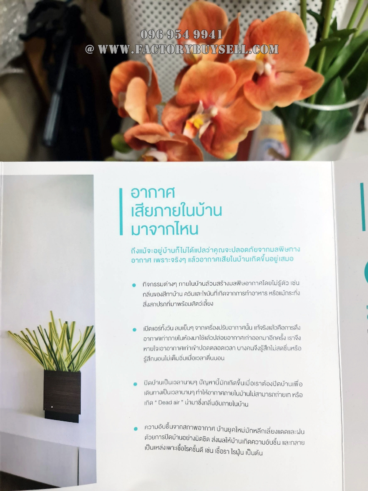 ขายบ้านเดี่ยว หมู่บ้าน ชัยพฤกษ์ ทางด่วนรามอินทรา-จตุโชติ | ระบบระบายอากาศ AIR PLUS