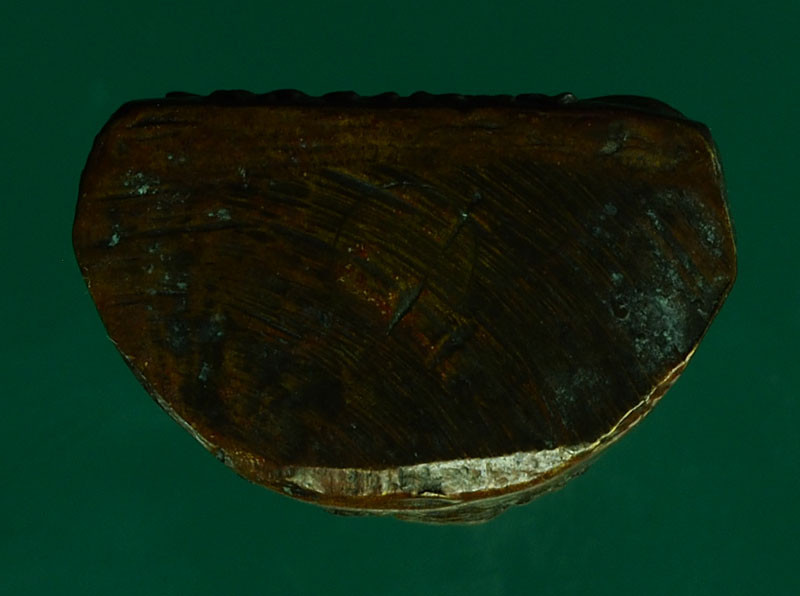 *28538 รูปหล่อหลวงพ่อปี่ วัดโคกท่าเจริญ ปี 2511 ชลบุรี 26