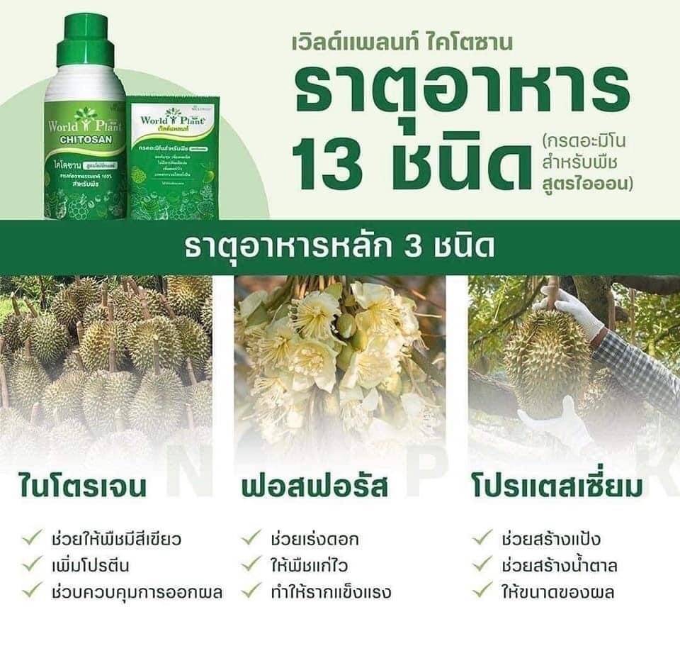 ส่วนผสมเวิลด์แพลนท์
