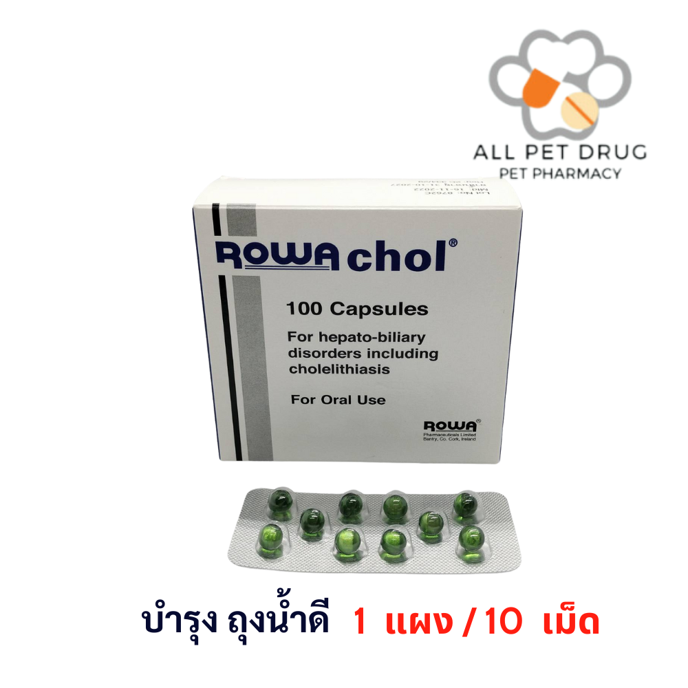 Rowachol (1 แผง/10 เม็ด) บำรุงถุงน้ำดี