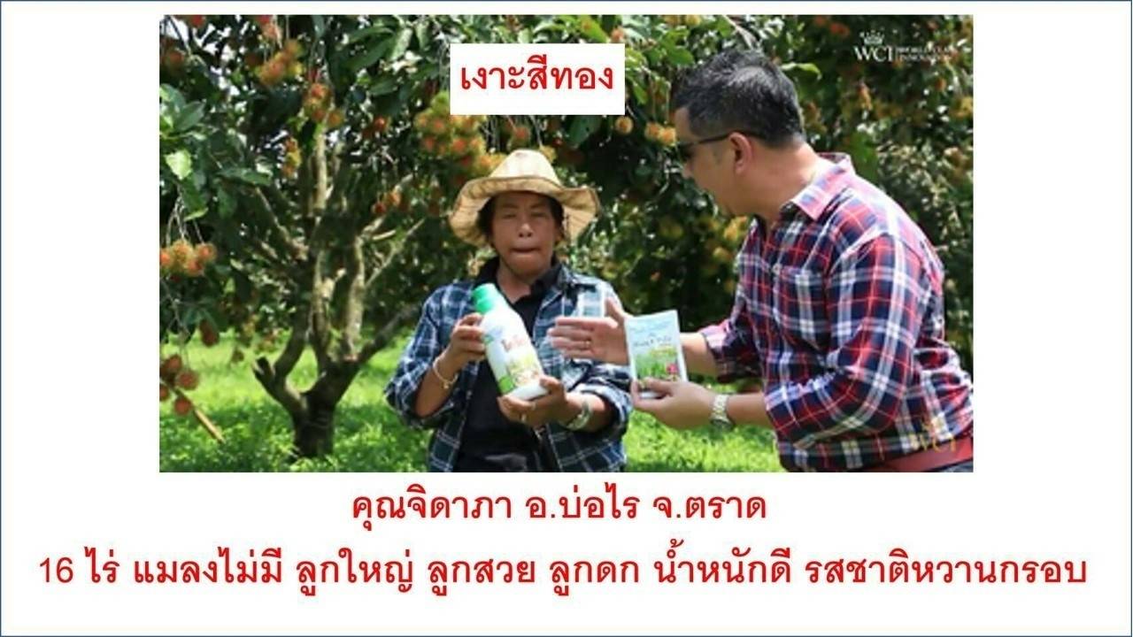 เวิลด์แพลนท์ ทุเรียน