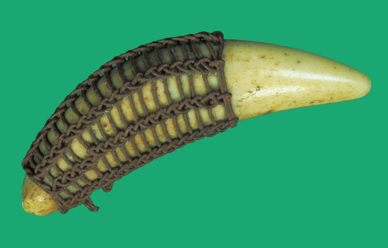 ขายแล้ว*35504 เขี้ยว ถักด้วยลวดแบบโบราณ เก่าๆ (จ้ดเป็นเครื่องรางชนิดหนึ่ง) 12