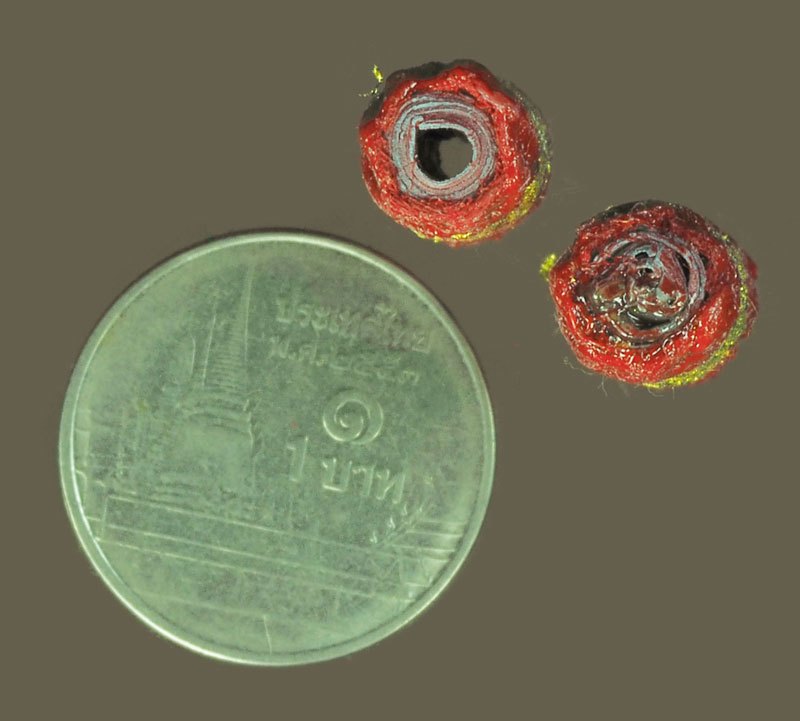 ขายแล้ว*39530 ตะกรุดแดง อาจารย์จำลอง วัดเจดีย์แดง อยุธยา จำนวน 2 ดอก 12