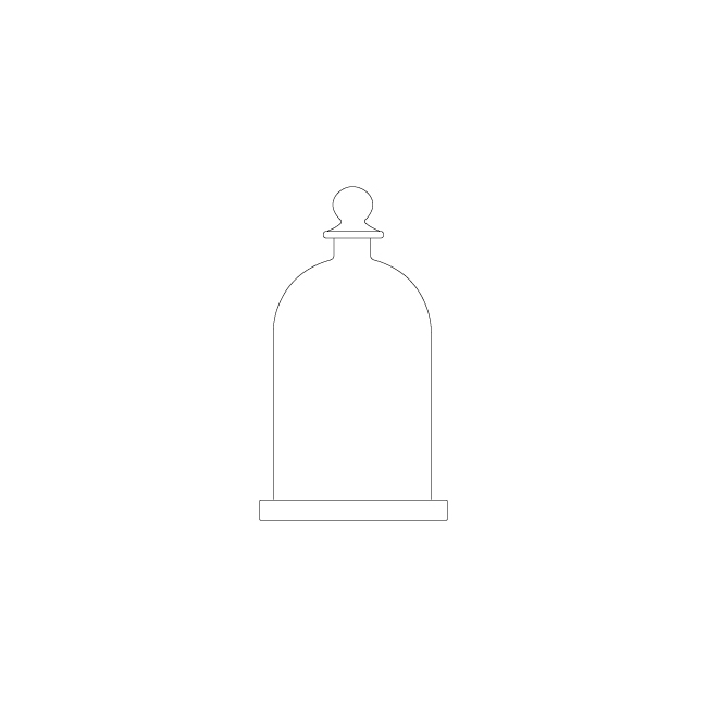 ขวดทรงกระดิ่ง (BELL JAR)
