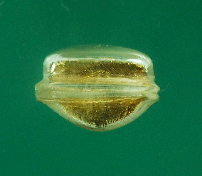 *28854 พระชัยวัฒน์ ไม่ทราบที่และปีสร้าง เลี่ยมพลาสติกเก่าๆ 7