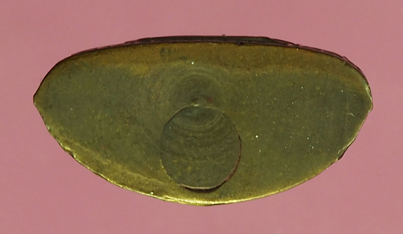 *28154 พระกริ่งพุทธโคดม วัดไผ่โรงวัว สุพรรณบุรี 84