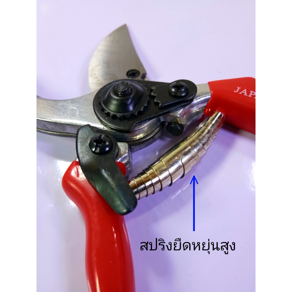 กรรไกรตัดกิ่งไม้ SONIC 8" (รุ่นแถมสปริงและใบมีด)(ราคารวมแวท)กรรไกรตัดกิ่งไม้ด้ามสั้น กรรไกรตัดแต่งกิ่ง {0700206501}