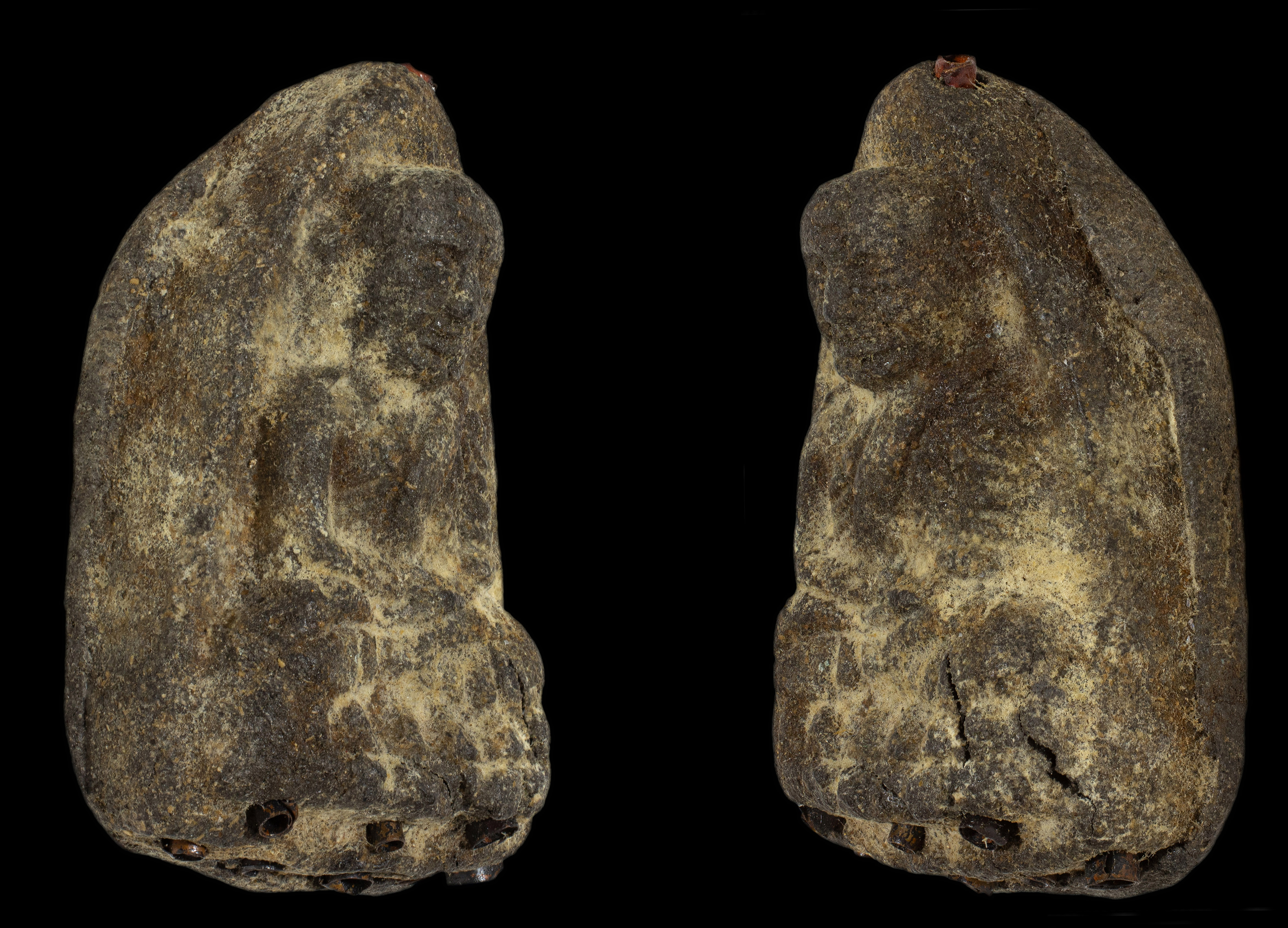 หลวงปู่ทวดเนื้อว่านหลังเจดีย์ รุ่นแจกกรรมการ ฝังตะกรุด 9 ดอก อาจารย์นองวัดทรายขาว ปลุกเสกพิธีใหญ่ ปี 2535