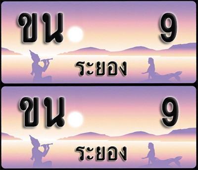 ทะเบียนรถ 9 – ขน 9 ระยอง (1)