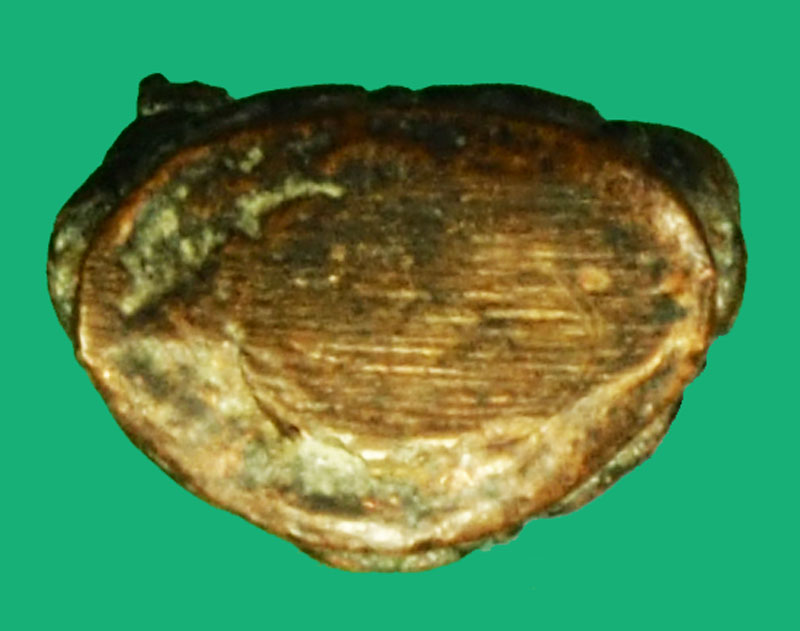 *36135 พระชัยวัฒน์ ไพรีพินาศ วัดบวรฯ ด้านหลังตอกโค๊ตบริเวณประคตเอวด้านหลัง ไม่ทราบที่และปีสร้าง 7